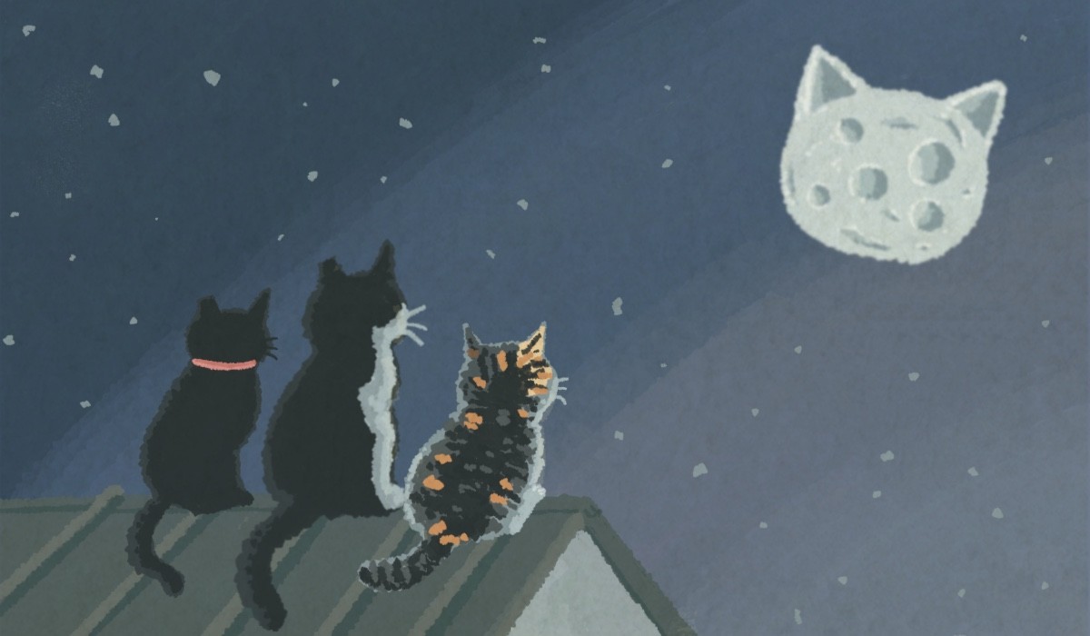 萬大 x DEVILCASE 手機殼 - 手機試衣間