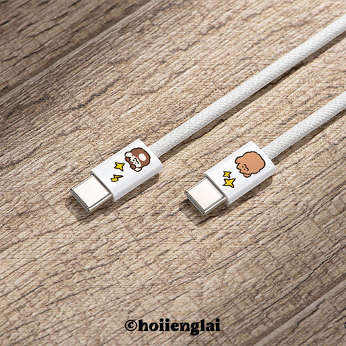 聯名正版授權 Hoi ホーイ C to C閃充耐折編織線 用汪發電