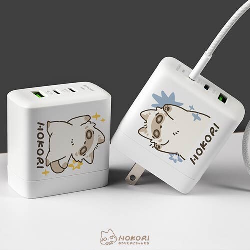 聯名正版授權 阿軒與一隻灰塵 DC-PRO70 3孔 氮化鎵70W PD超急速充電器 朝氣灰塵